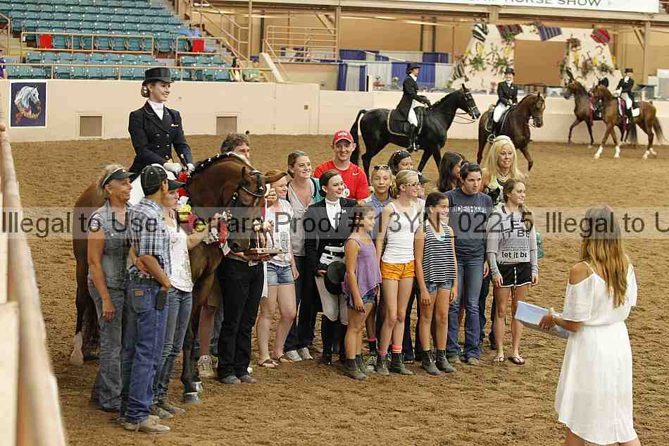 Proof 13yn_02215