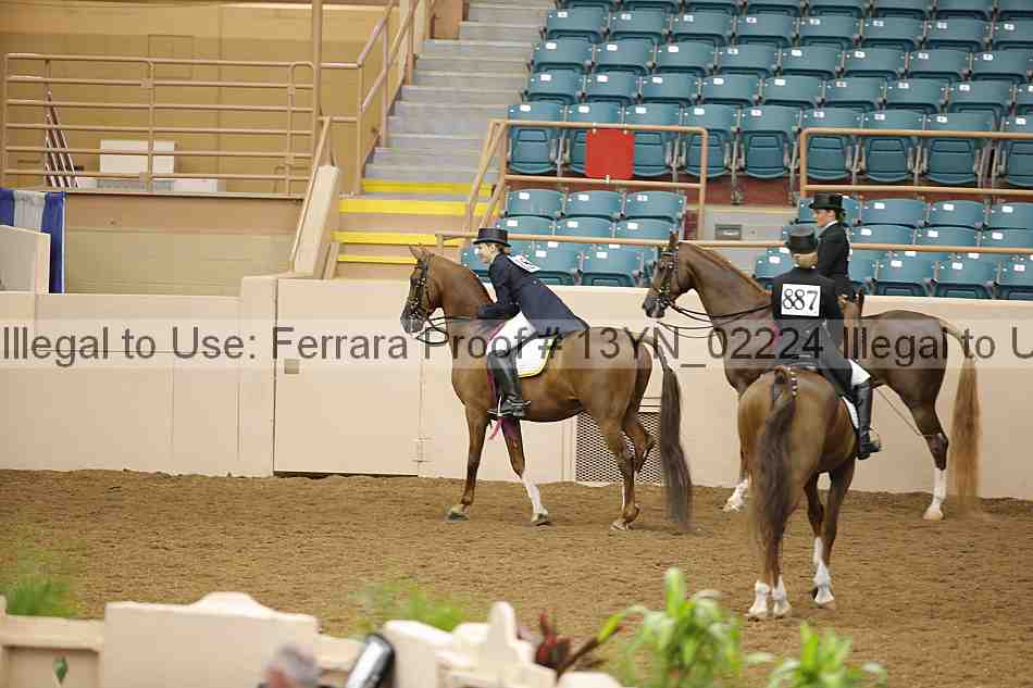 Proof 13yn_02224