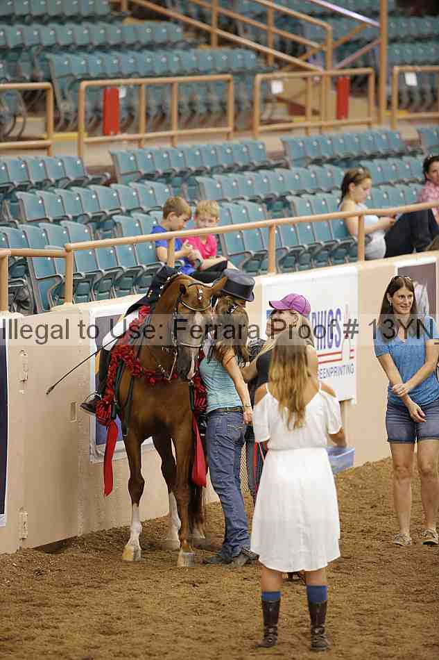 Proof 13yn_02235