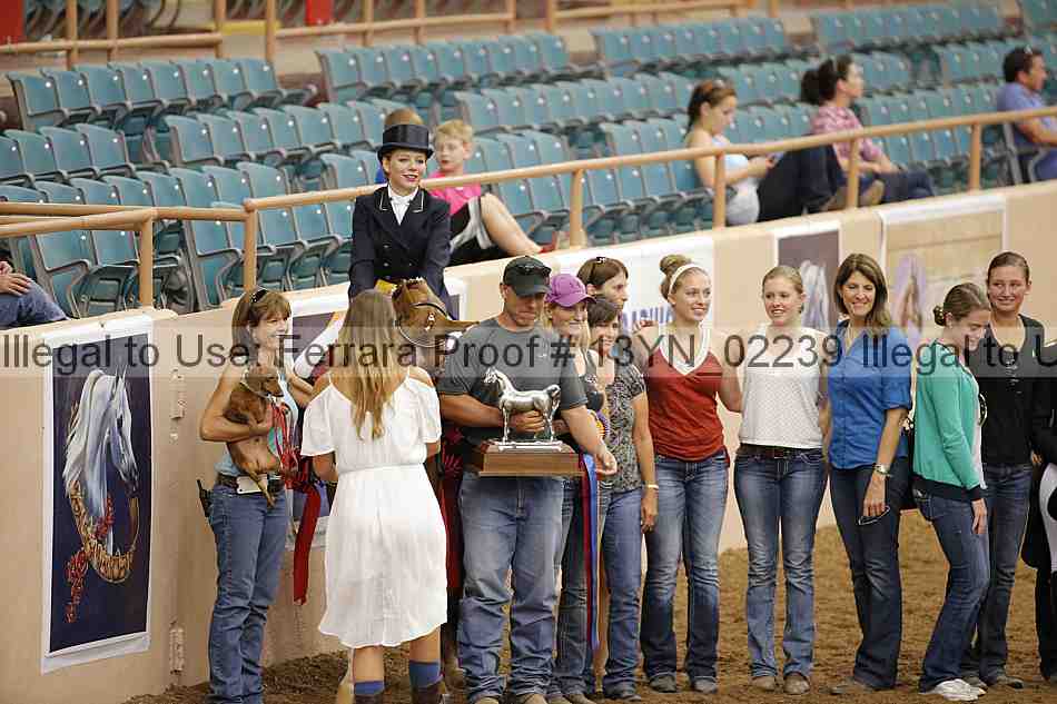 Proof 13yn_02239