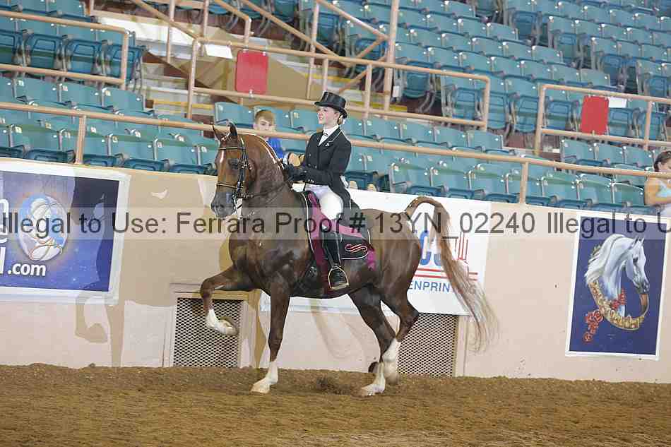 Proof 13yn_02240