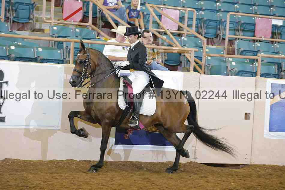 Proof 13yn_02244