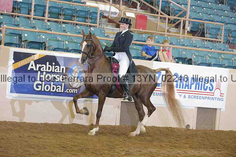 Proof 13yn_02248