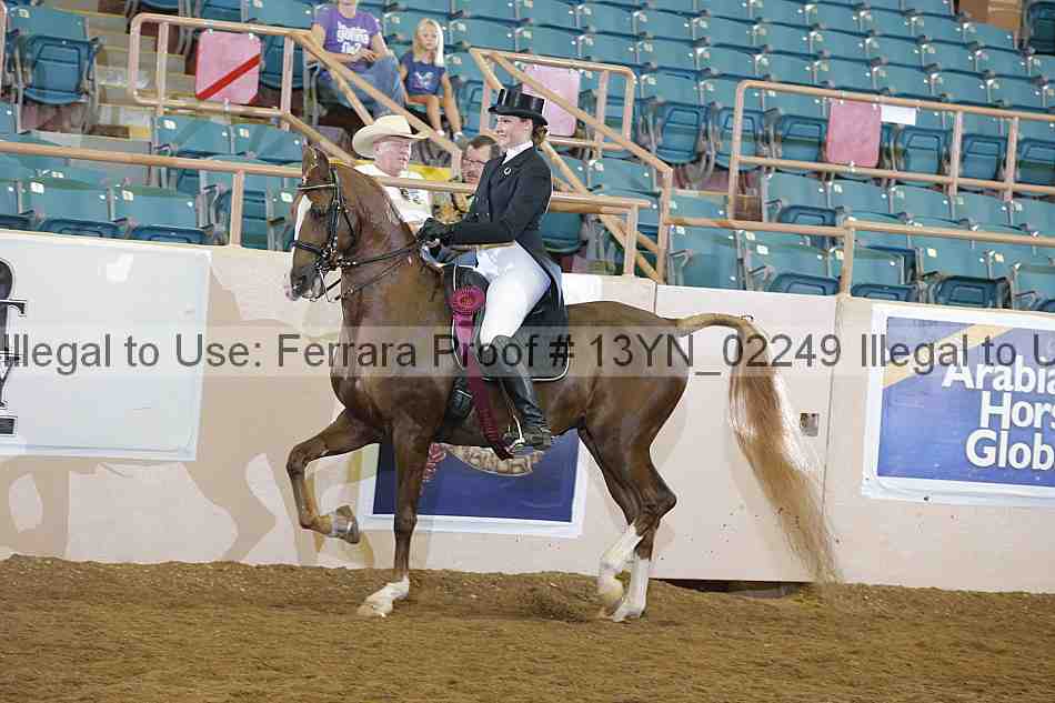 Proof 13yn_02249