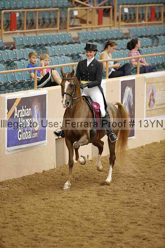 Proof 13yn_02252