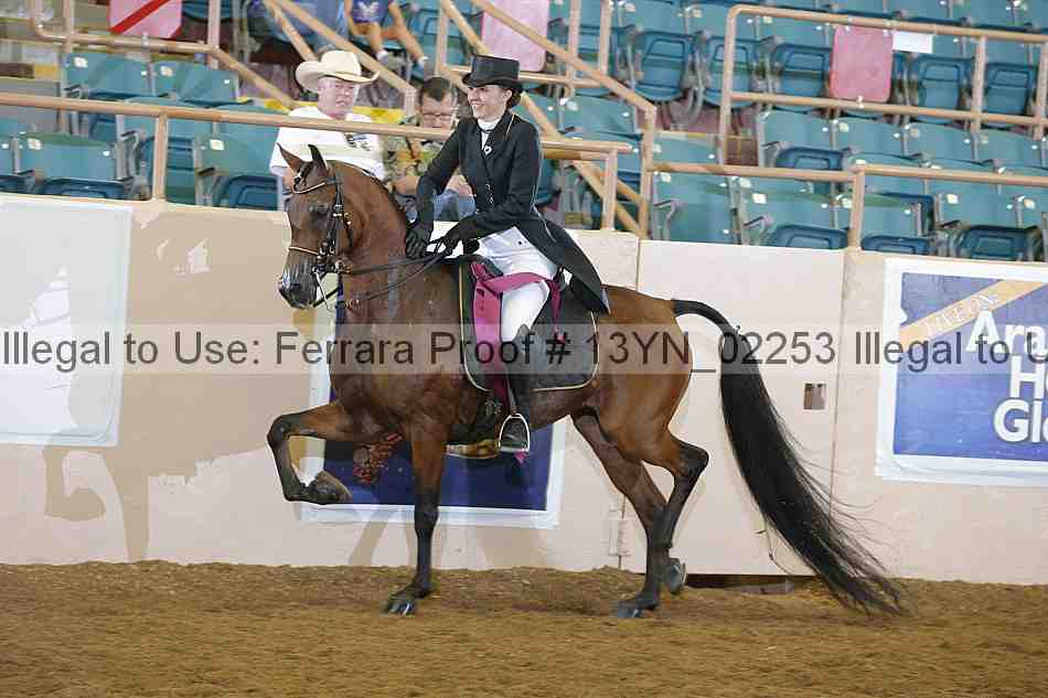 Proof 13yn_02253