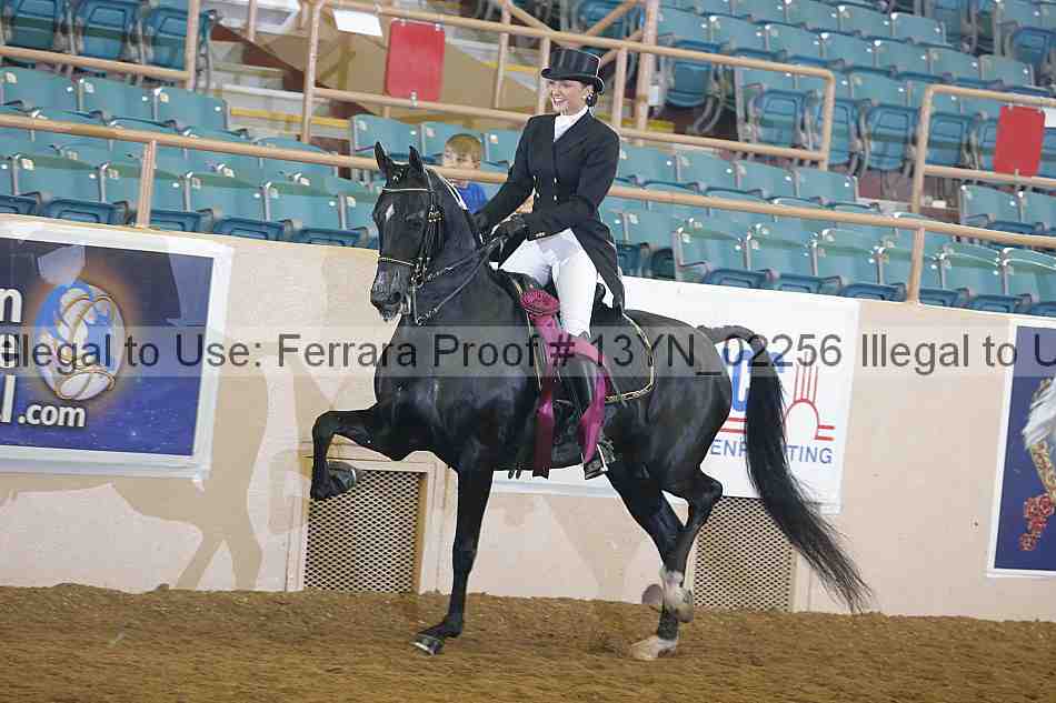 Proof 13yn_02256