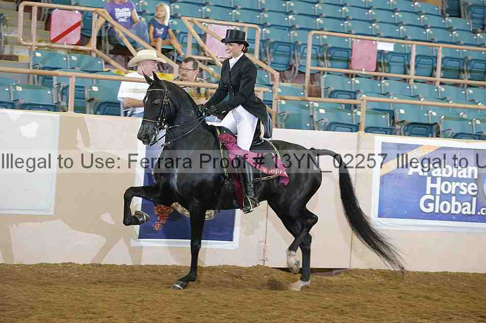 Proof 13yn_02257