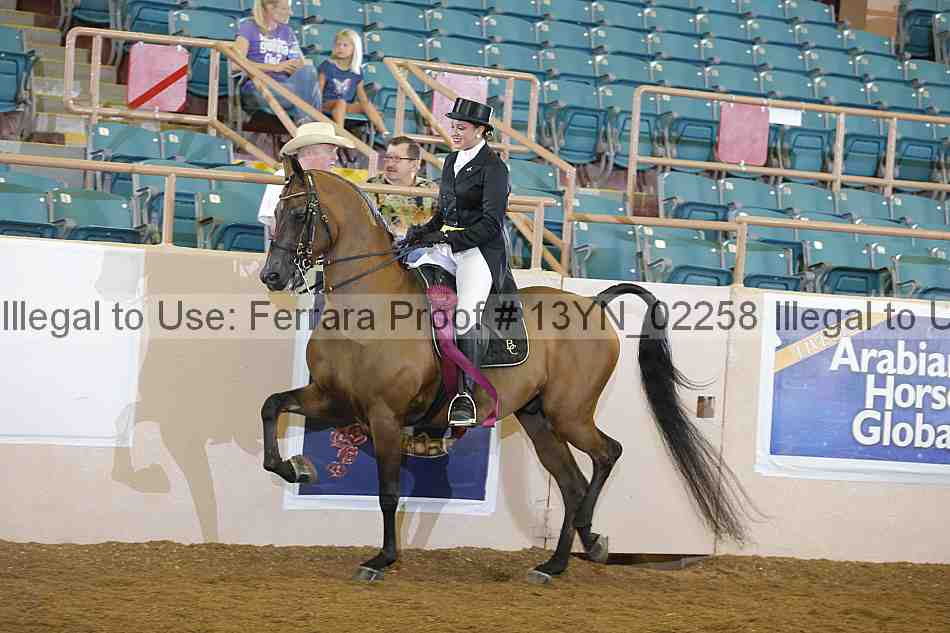 Proof 13yn_02258