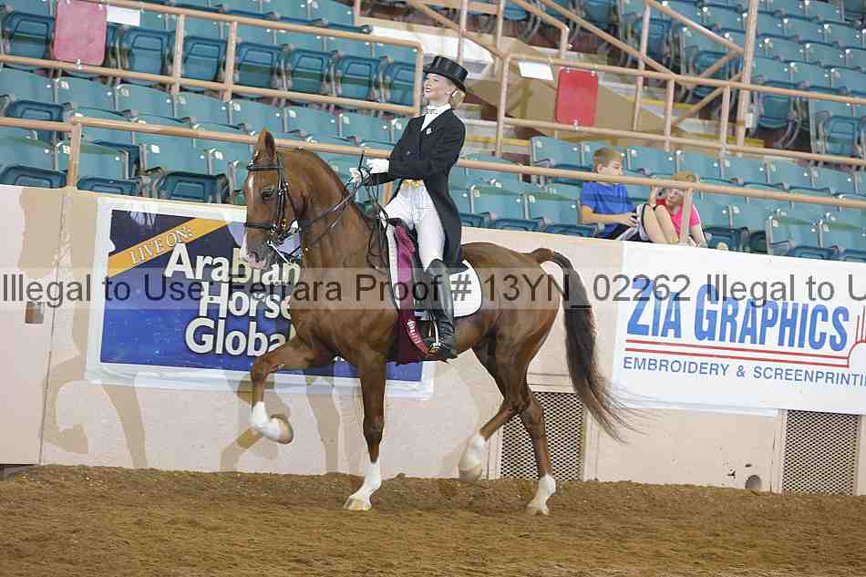 Proof 13yn_02262