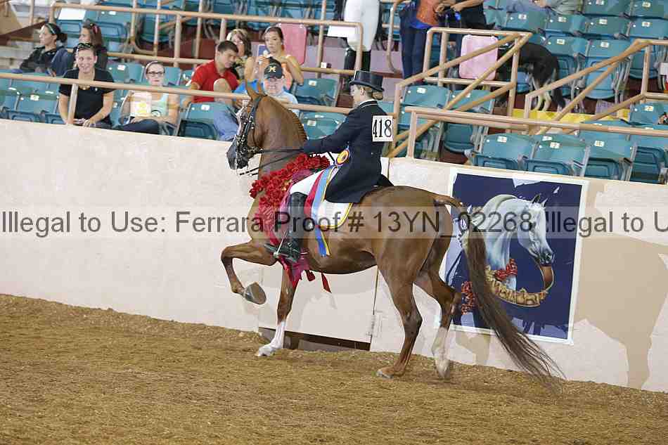 Proof 13yn_02268