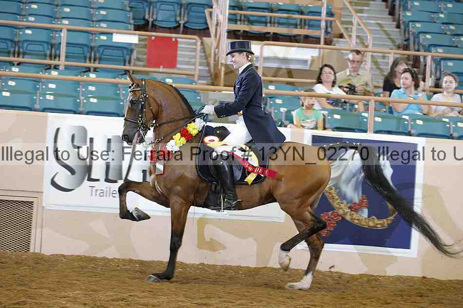 Proof 13yn_02270