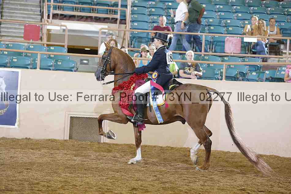 Proof 13yn_02277