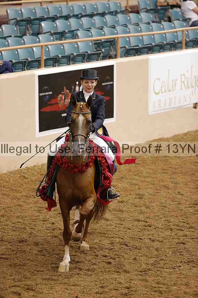 Proof 13yn_02280