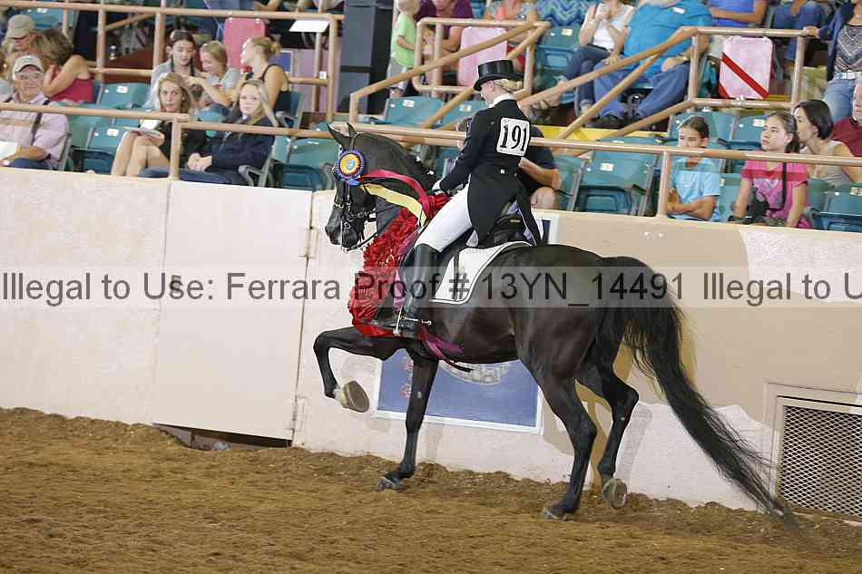 Proof 13yn_14491