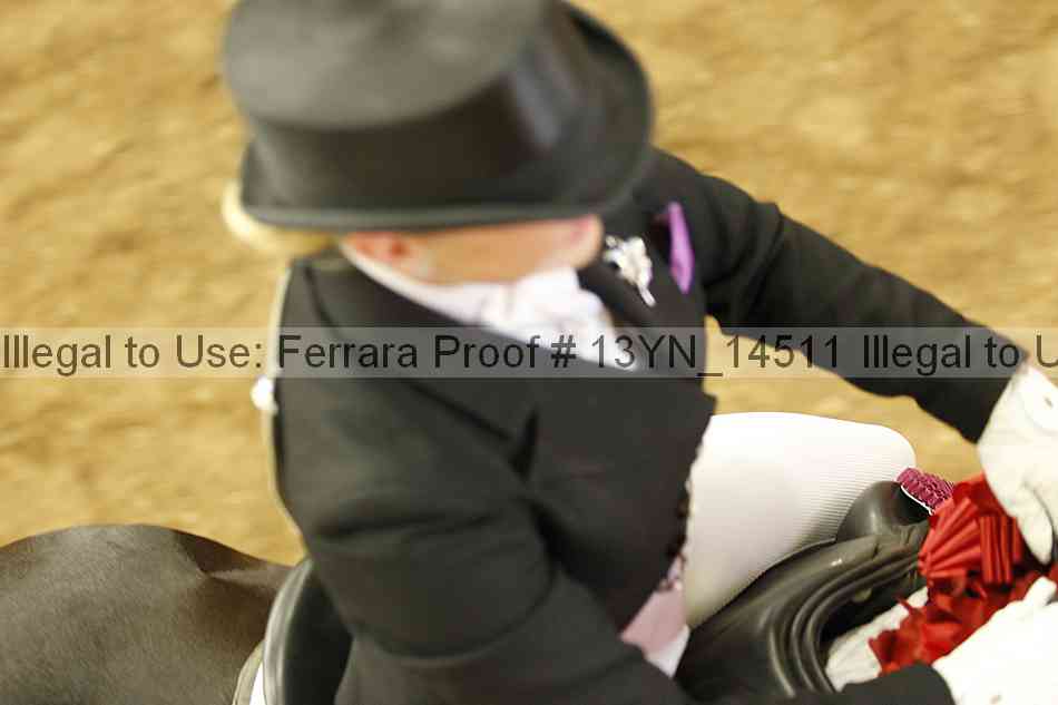 Proof 13yn_14511