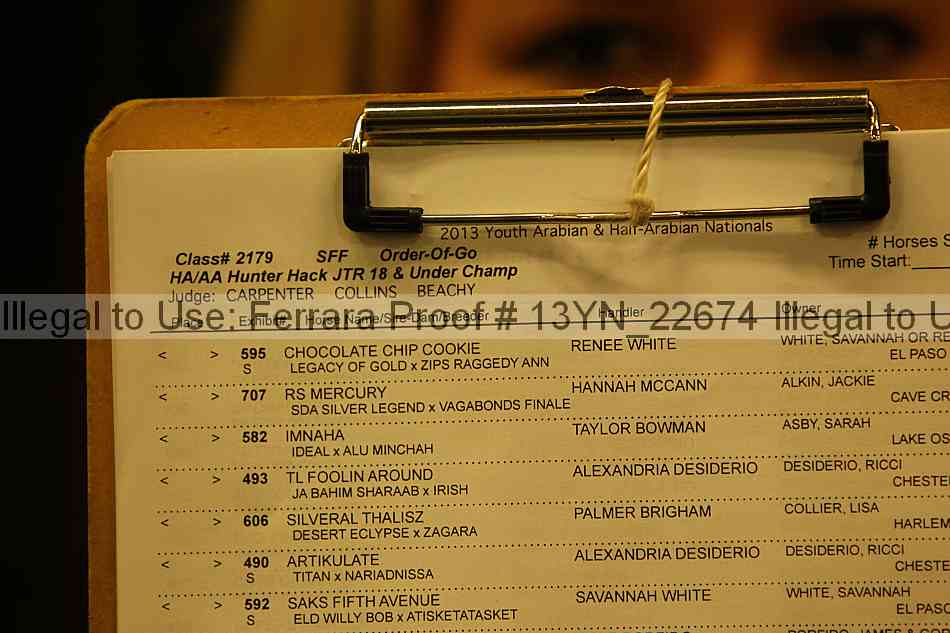 Proof 13yn_22674