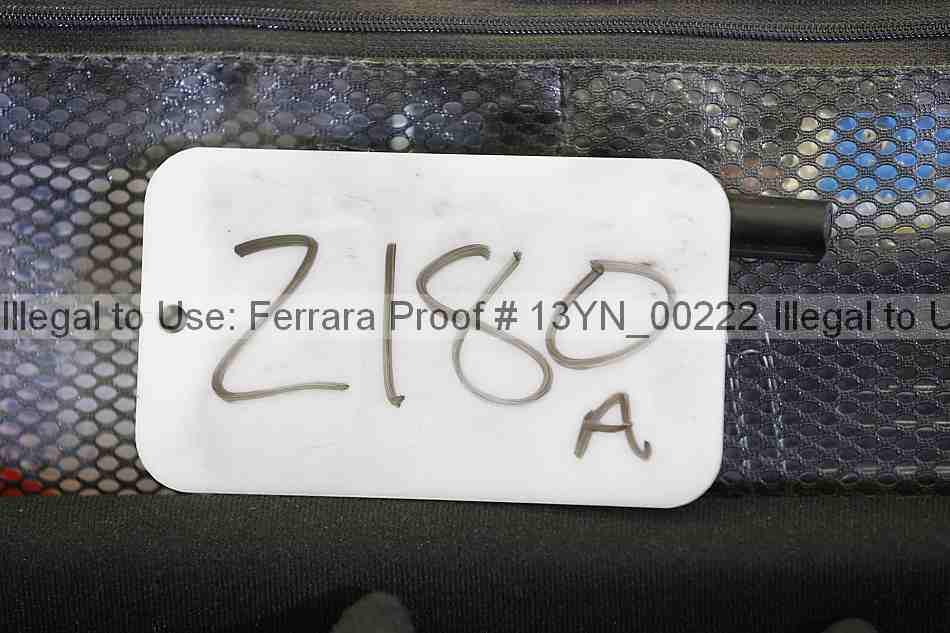 Proof 13yn_00222