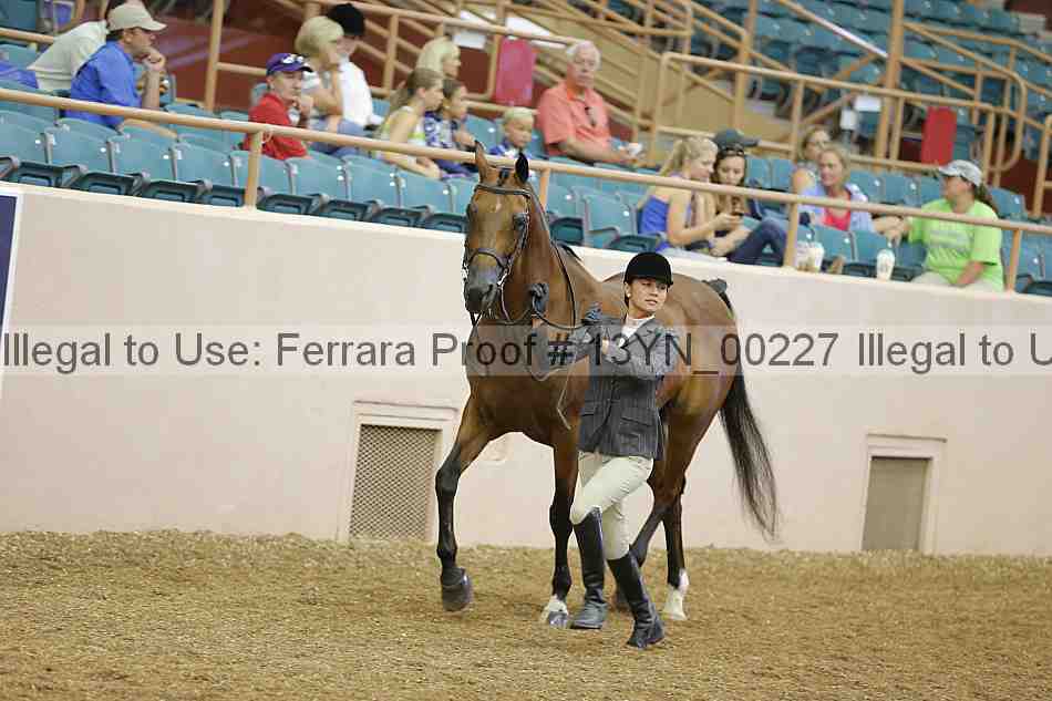 Proof 13yn_00227
