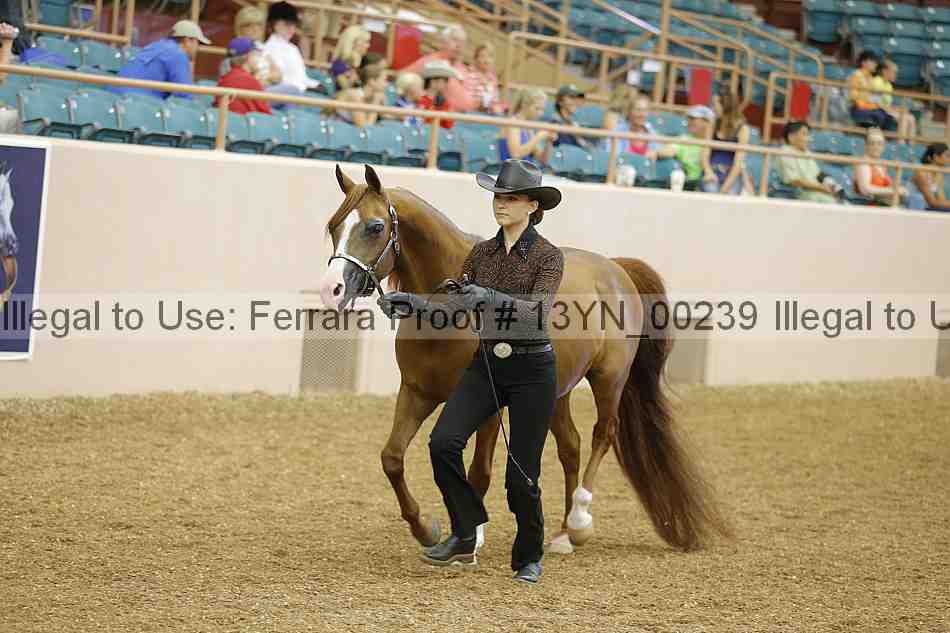 Proof 13yn_00239