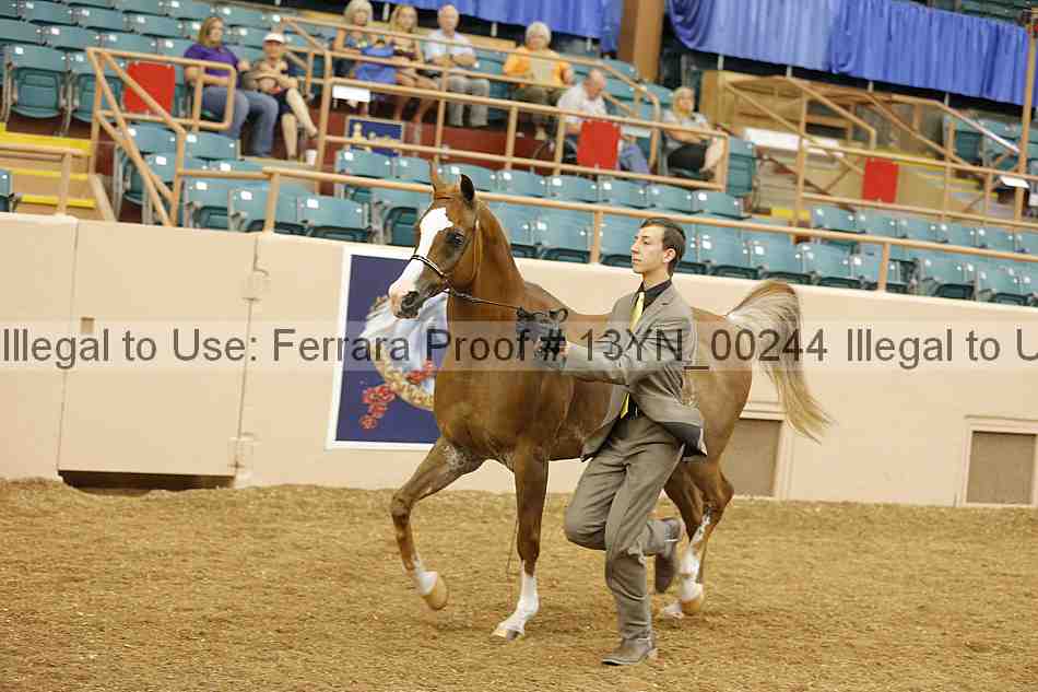 Proof 13yn_00244