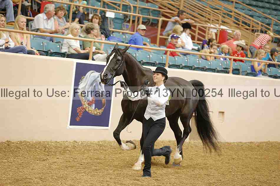 Proof 13yn_00254