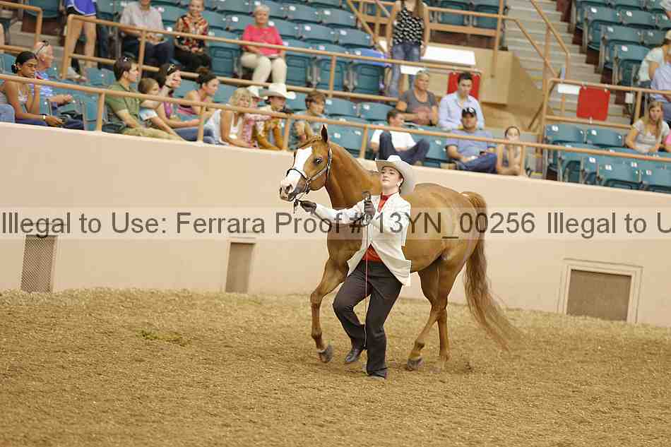 Proof 13yn_00256