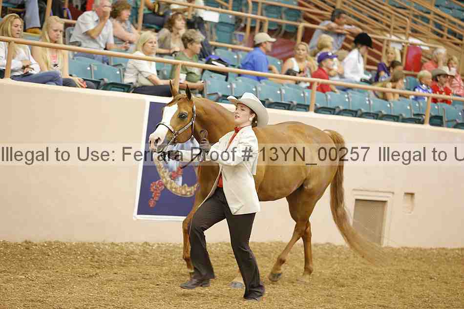 Proof 13yn_00257