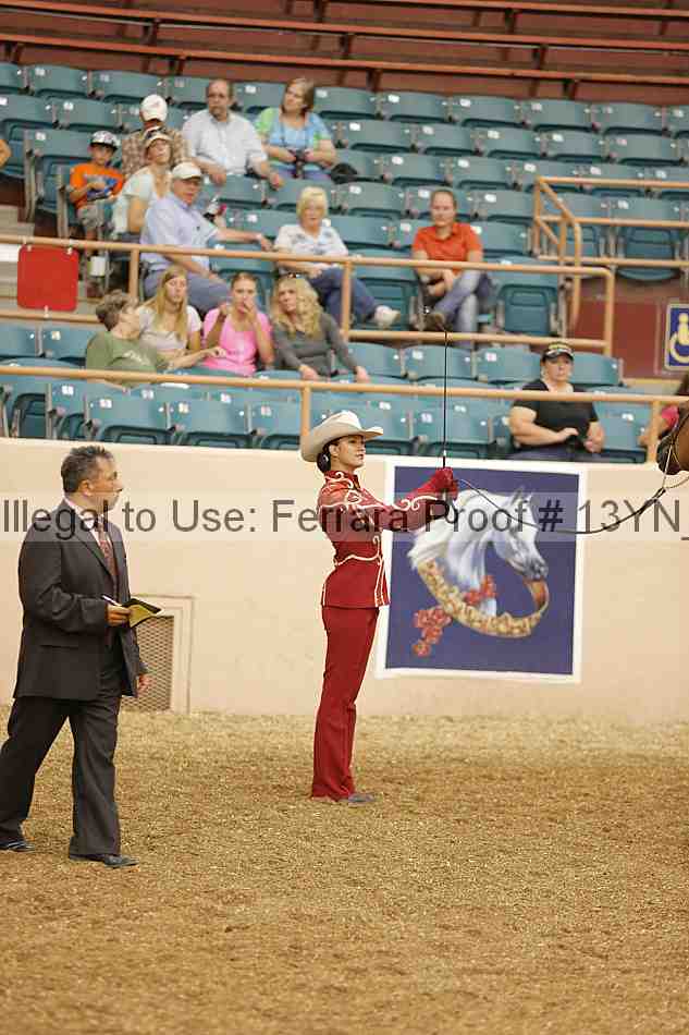Proof 13yn_00260