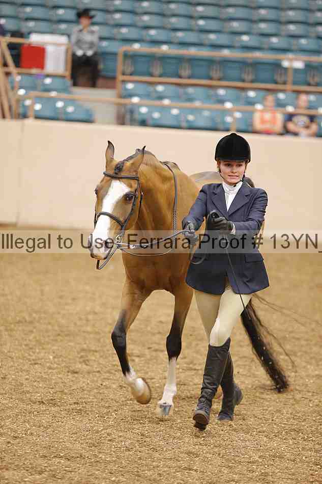 Proof 13yn_00264