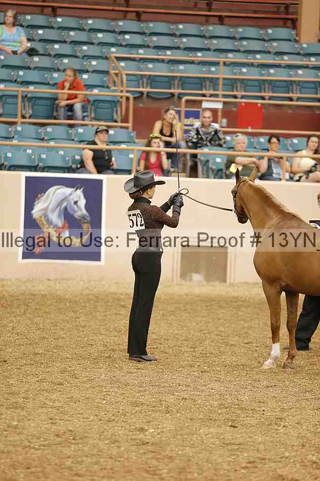 Proof 13yn_00301