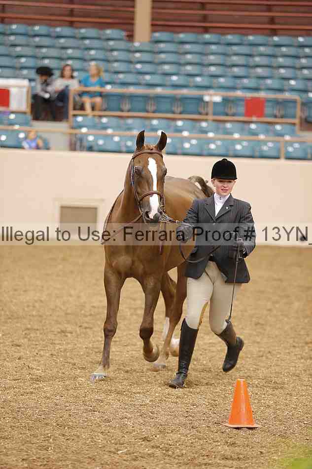 Proof 13yn_00305