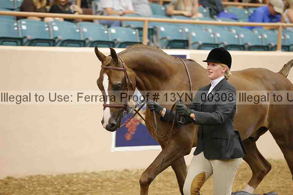 Proof 13yn_00308
