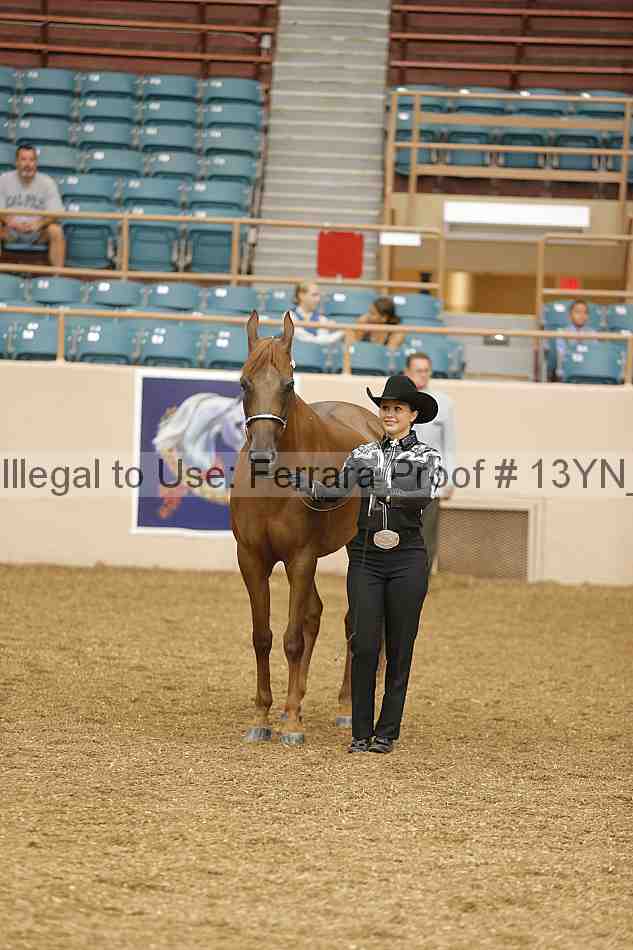 Proof 13yn_00309