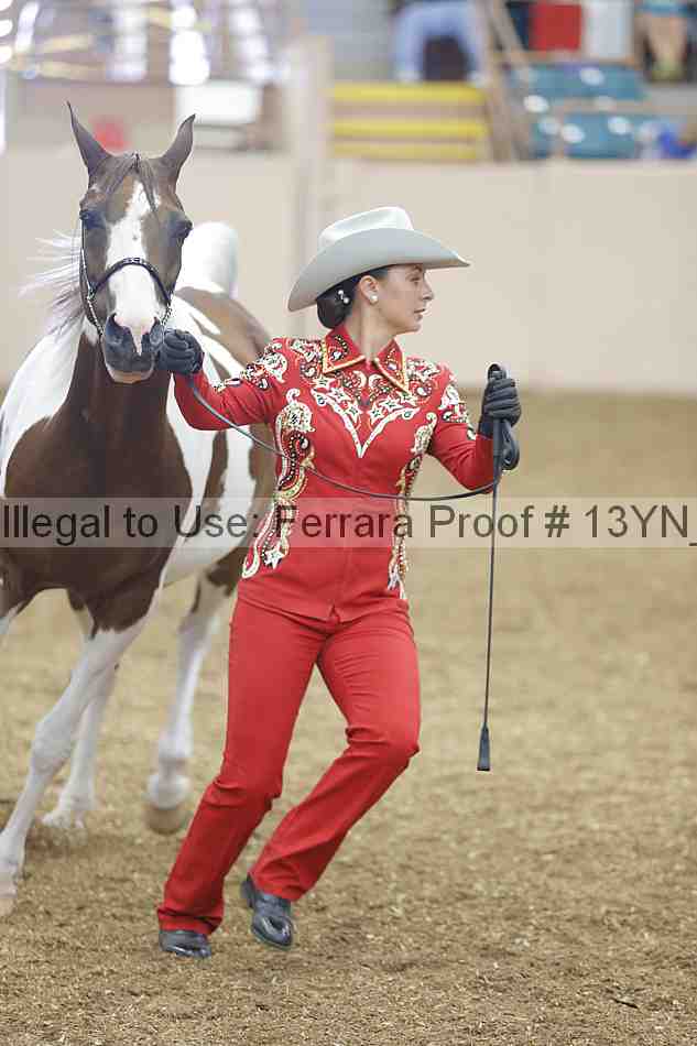 Proof 13yn_00336