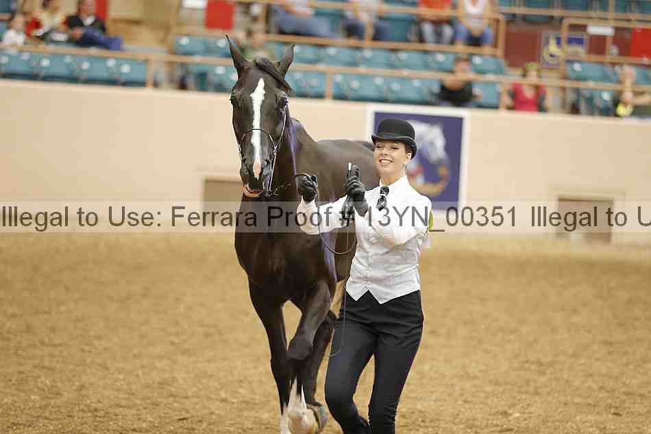 Proof 13yn_00351