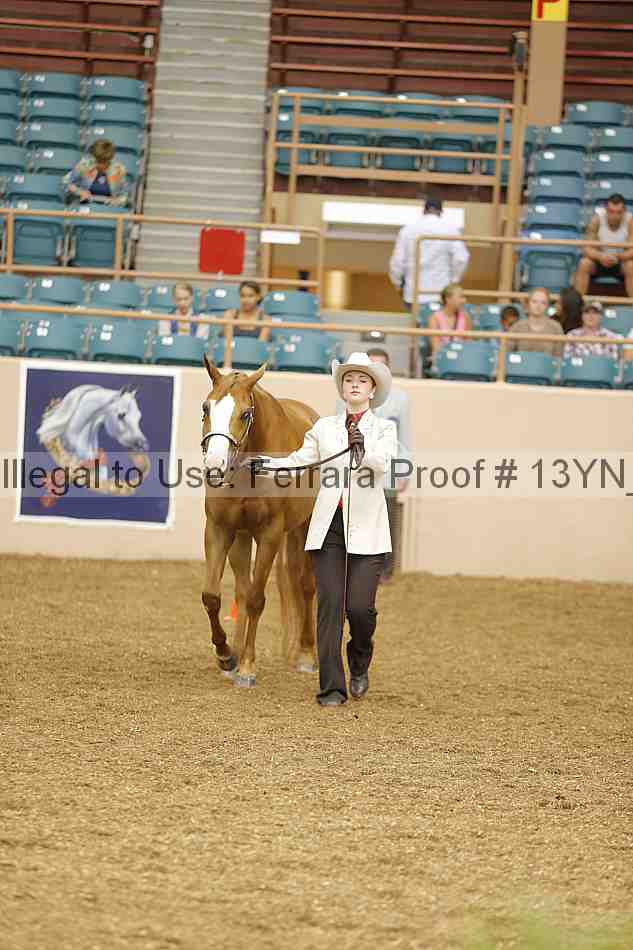 Proof 13yn_00354