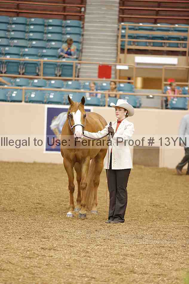 Proof 13yn_00355