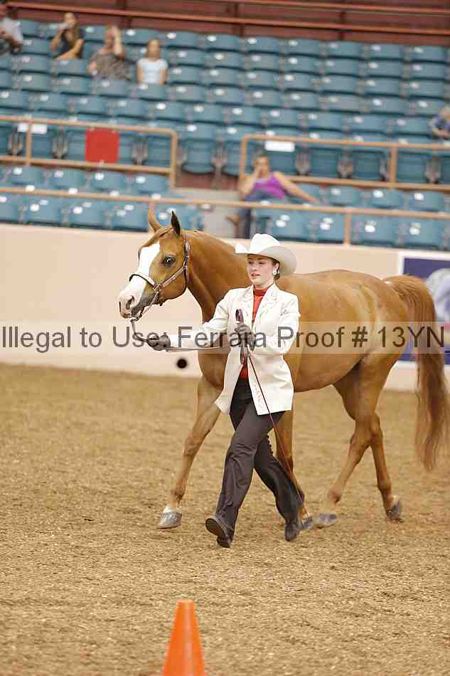 Proof 13yn_00356