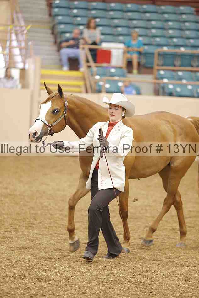 Proof 13yn_00357