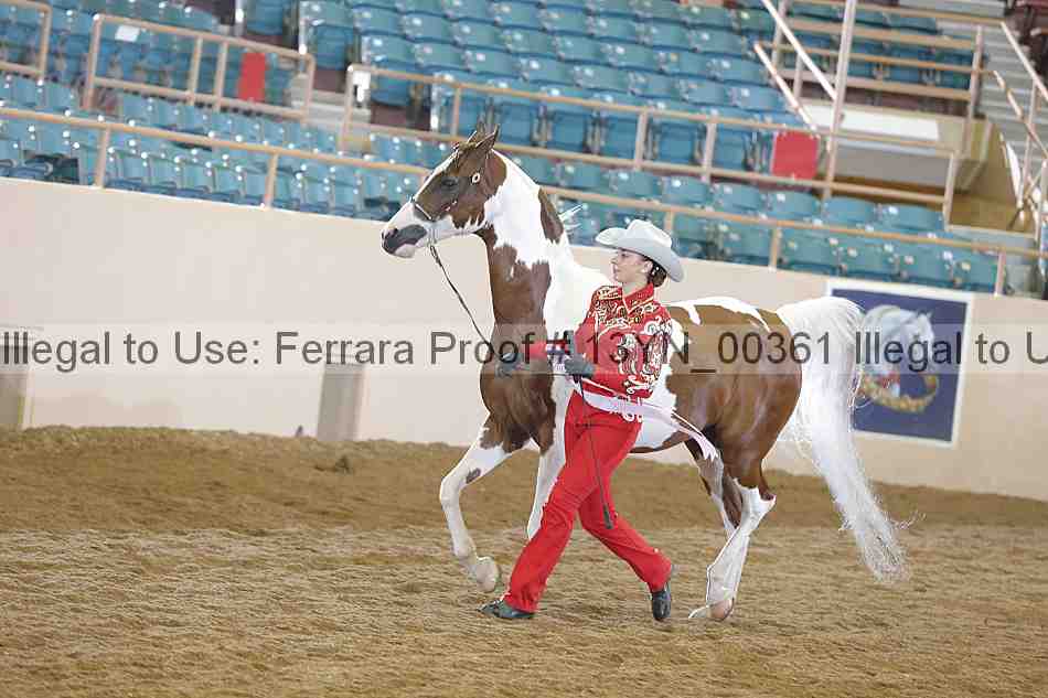 Proof 13yn_00361