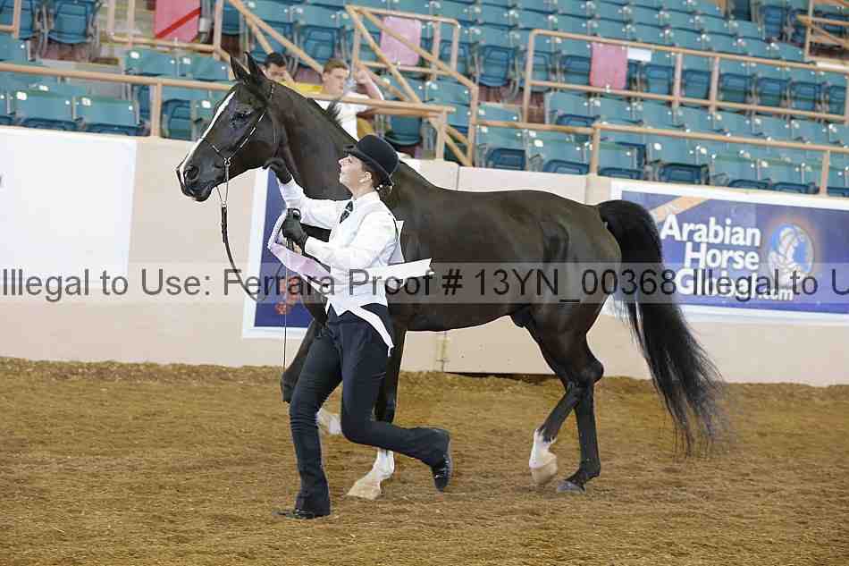 Proof 13yn_00368