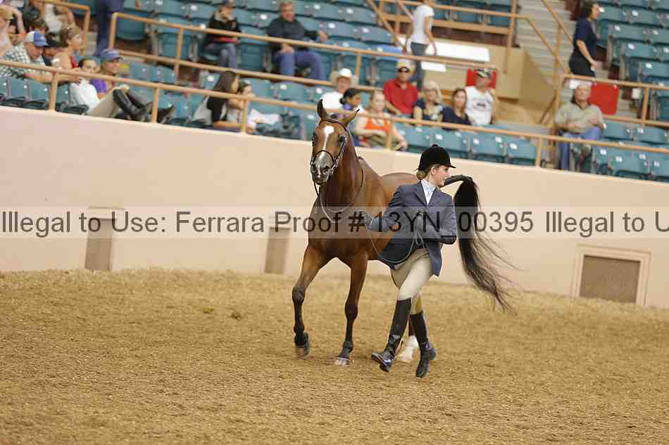 Proof 13yn_00395