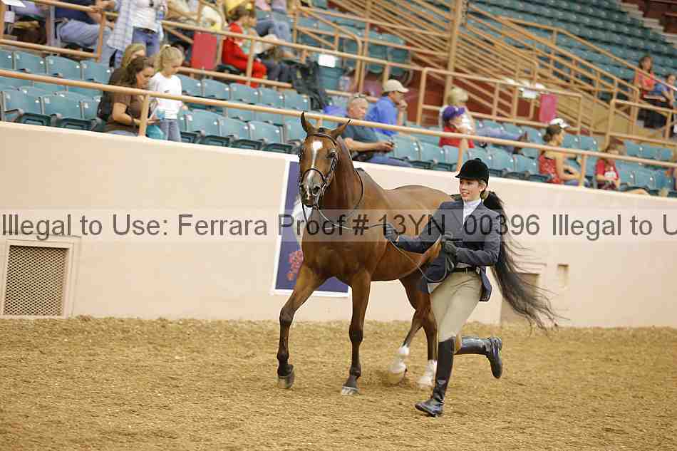 Proof 13yn_00396