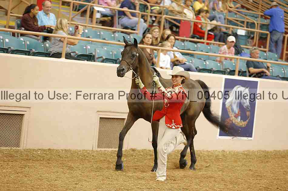 Proof 13yn_00405
