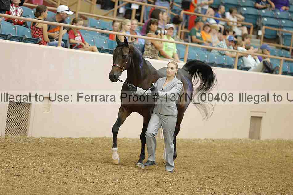 Proof 13yn_00408