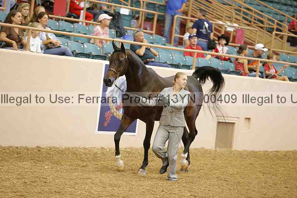 Proof 13yn_00409