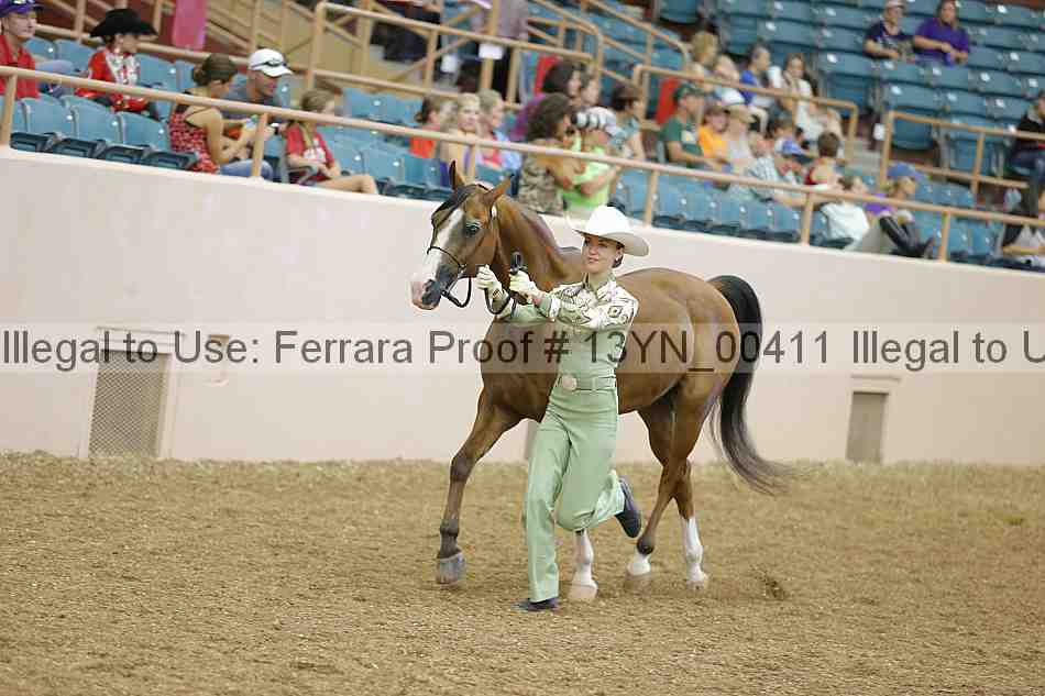 Proof 13yn_00411