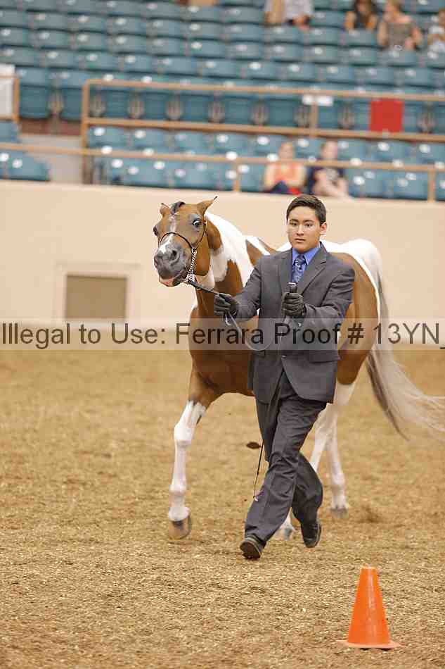 Proof 13yn_00447