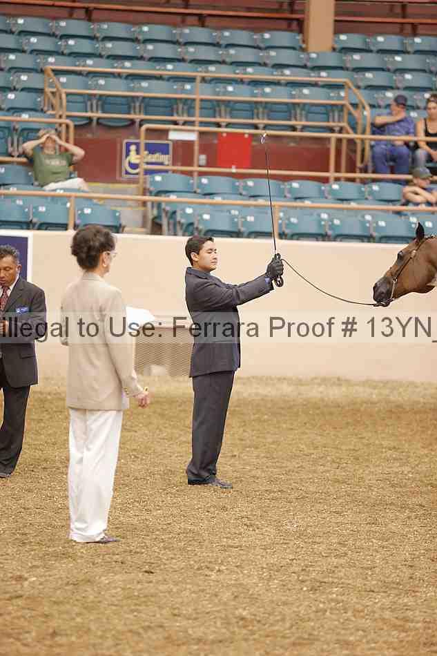 Proof 13yn_00448